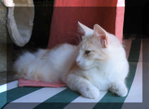 Dorie-Mai04-2.jpg (62221 Byte)