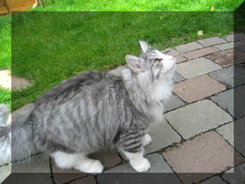 146_4675 (2).JPG (45520 Byte)