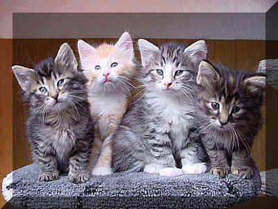 Babies12-06-02-2.jpg (21659 Byte)