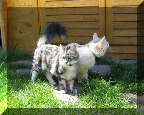 Bacci10-07-03-3.jpg (160117 Byte)