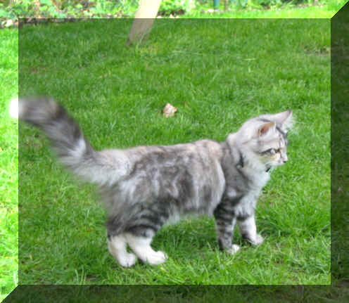 Bacci14-05-03-14.jpg (124646 Byte)