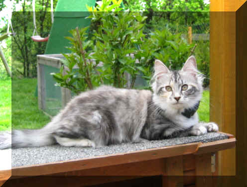 Bacci14-05-03-23.jpg (104331 Byte)