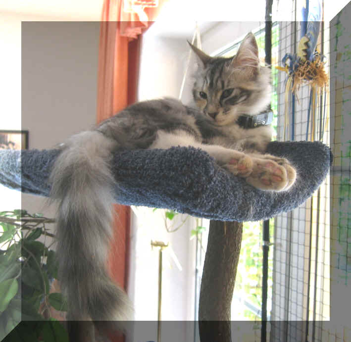 Bacci14-05-03-4.jpg (196170 Byte)