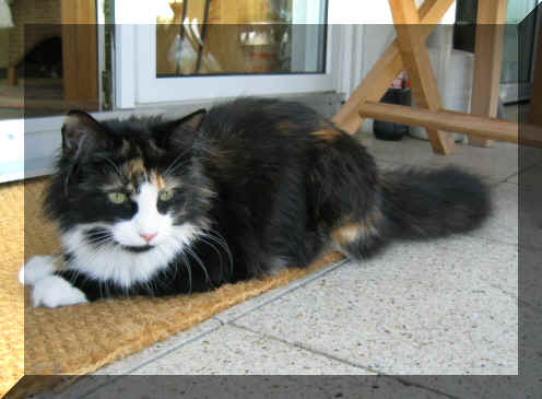 Beaauty03-08-03-1.jpg (89613 Byte)