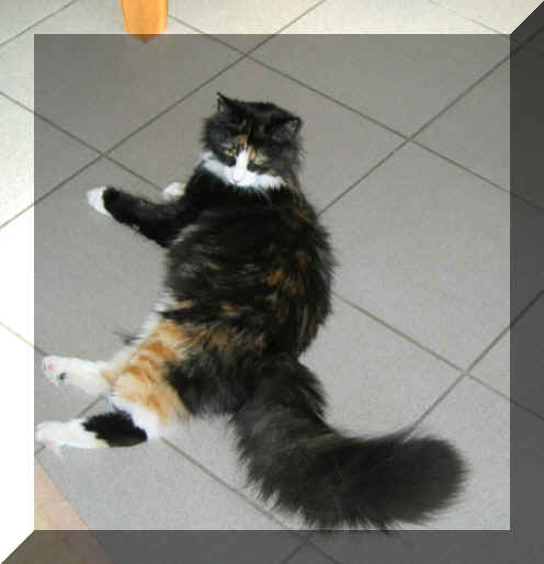 Beauty03-08-03-2.jpg (90729 Byte)