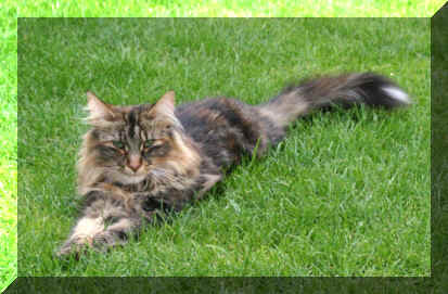 Berenice_04_08_07_2172.jpg (88326 Byte)