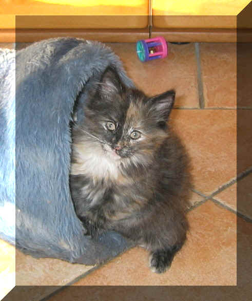 Beverly13-02-03-1.jpg (131825 Byte)