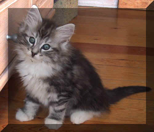 Bild 004 (2).jpg (31565 Byte)