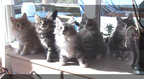 Bild 010 (2).jpg (31652 Byte)