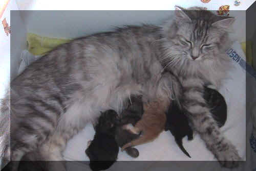 Bild 019 (2).jpg (25153 Byte)