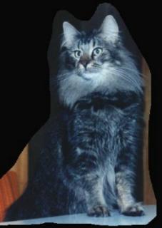 Corinna_von_Haukeligrend.jpg (9383 Byte)