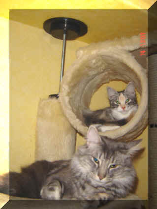 Emily-Aaron-Aug04-2.jpg (56308 Byte)