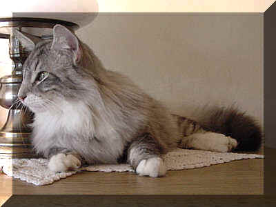 Fati11-05-02-1.jpg (11532 Byte)