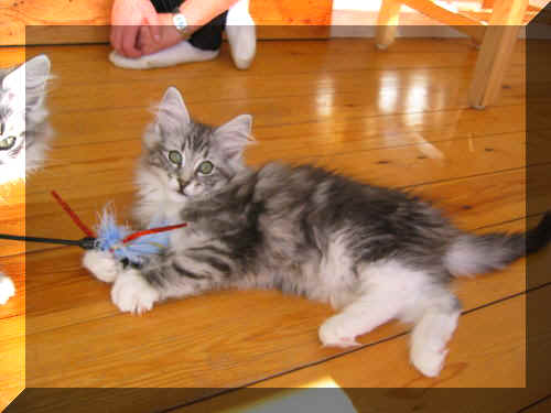 IMG_5014.JPG (2).JPG (37377 Byte)