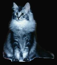 �degaardens_Kaisa.jpg (7795 Byte)