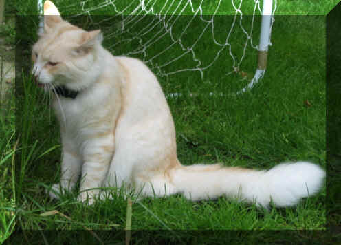 Olli18-06-04-1.jpg (101162 Byte)