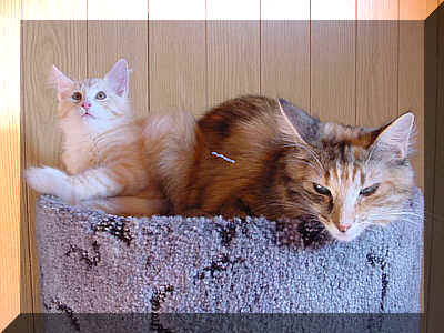 Olli_Karina20-07-02-1.jpg (20454 Byte)