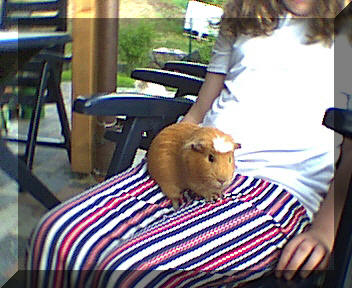 Puenktchen.jpg (85185 Byte)