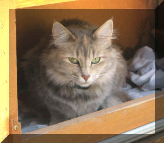 Sandy18-06-04-2.jpg (89995 Byte)