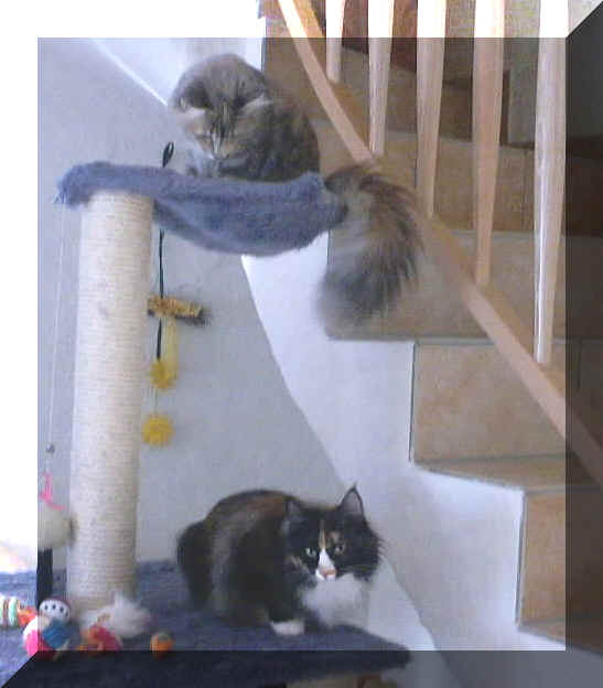 Spirit4.JPG (72122 Byte)