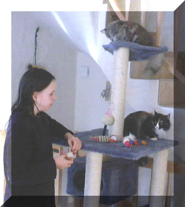 Spirit5.JPG (56903 Byte)