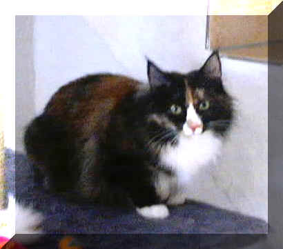 Spirit6.JPG (35881 Byte)