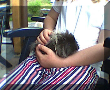 Wuschel.jpg (75459 Byte)