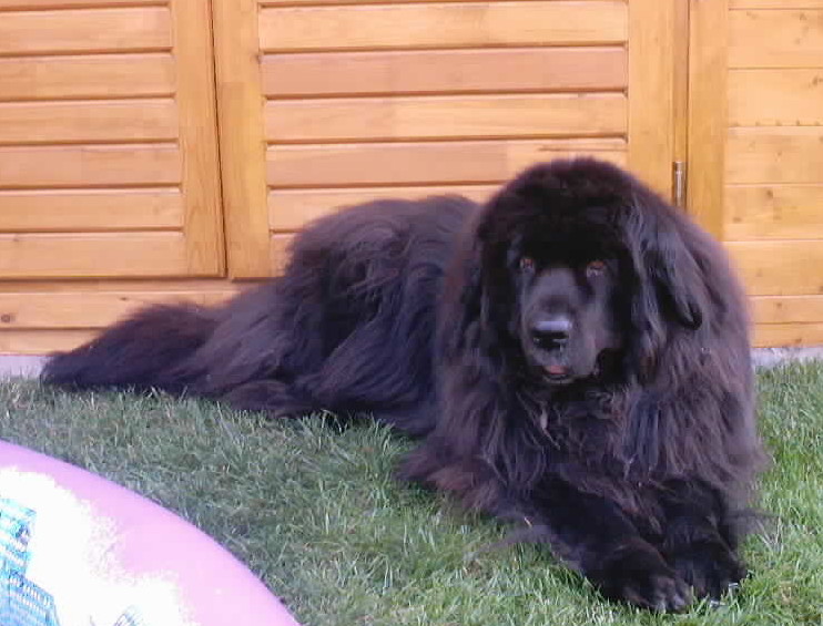 FOTO175.JPG (102058 Byte)