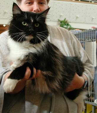 ricky.jpg (69835 Byte)